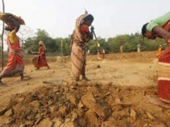 People above 55 excluded from MGNREGA struggling for food in TN