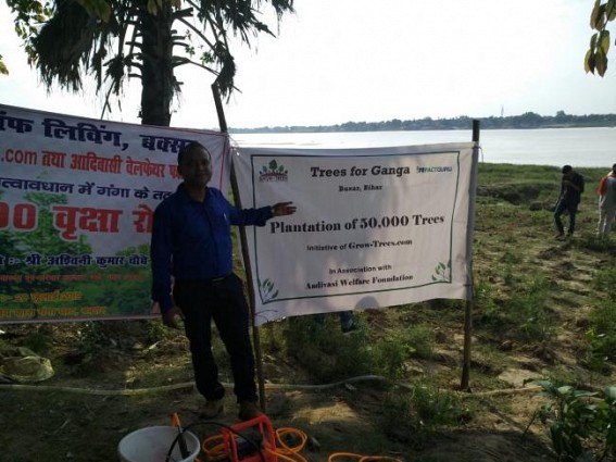 'Panchkol' trees to be planted on banks of Ganga