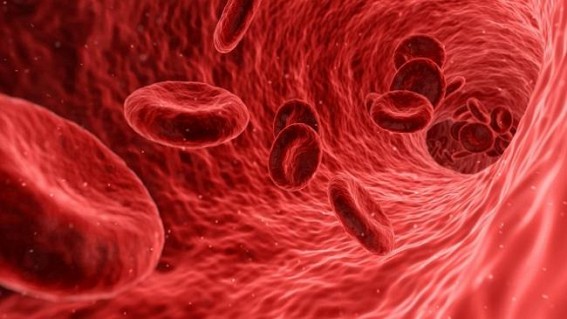 Novel autoantibody sparks inflammation, blood clots in Covid patients