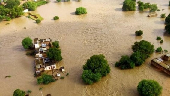 Sheopur Collector removed after MP flood situation worsens Sheopur Collector removed after MP flood situation worsens