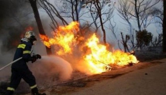 Israel mulls calling for int'l help to curb raging wildfire