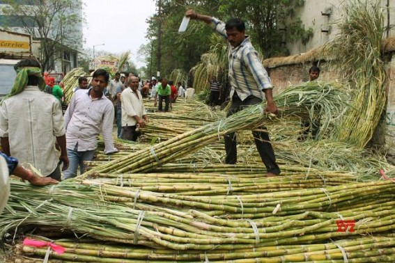 Govt approves FRP of Rs 290/qtl for sugarcane farmers