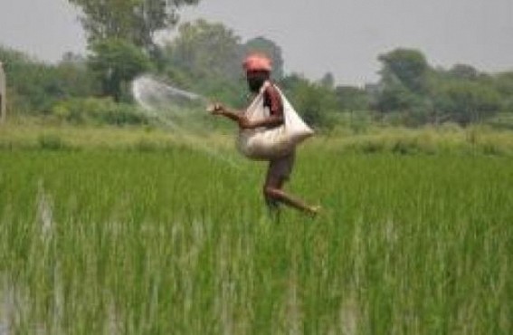 Govt continues price rollover of P&K fertilizers till March 2022