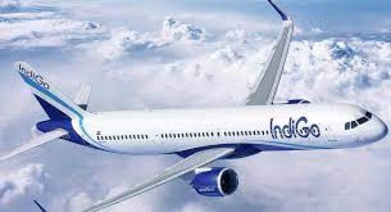 IndiGo to maintain dominance, despite Tata's thrust 