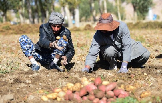 Farmers in Afghanistan's Kunduz voice concern over drought, seek help