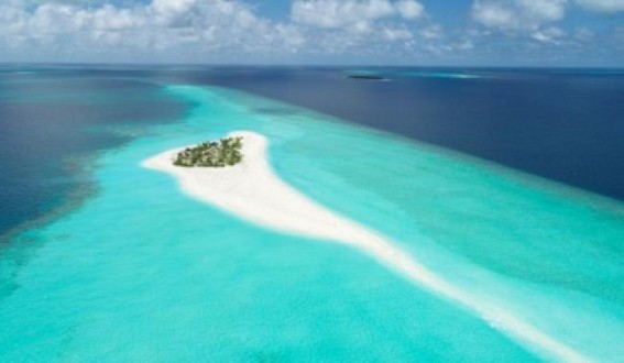 Maldives receives compensation for reef damaged by cargo ship Maldives receives compensation for reef damaged by cargo ship