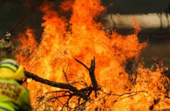 Threatened species at risk from S.Australian bushfire