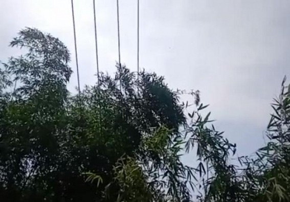 Power-cut for 6 days at Kamalnagar, Teliamura Power-cut for 6 days at Kamalnagar, Teliamura