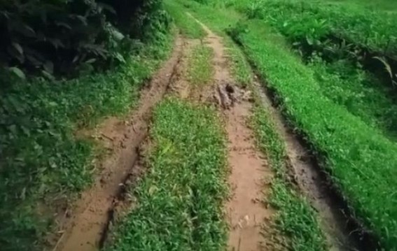 Pathetic Roadway Condition at Dukli, Kachanmala Pathetic Roadway Condition at Dukli, Kachanmala