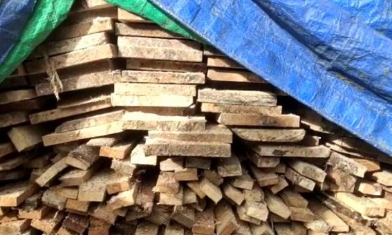 1 booked in Wood-Smuggling charge 1 booked in Wood-Smuggling charge