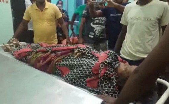 Wild Elephants killed a Woman in Teliamura