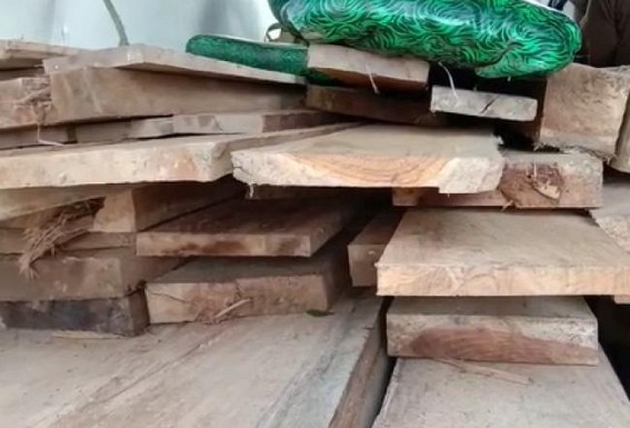 Illegal Woods Seized by Forest Dept in Amarpur Illegal Woods Seized by Forest Dept in Amarpur