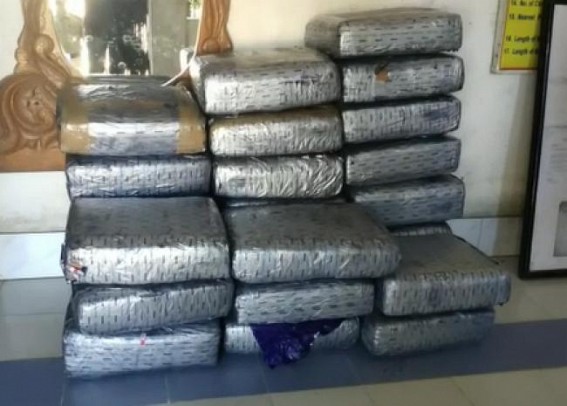 UP-Tripura Drug Smuggling in Rise : 258 Kg Ganja Seized at Pecharthal UP-Tripura Drug Smuggling in Rise : 258 Kg Ganja Seized at Pecharthal