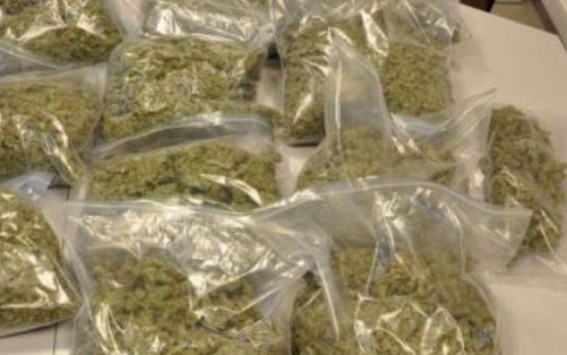 Huge amount of dry cannabis recovered by Kalamchaura PS, Sepahijala Huge amount of dry cannabis recovered by Kalamchaura PS, Sepahijala