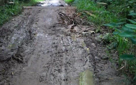 Bamutia roads left in deplorable condition, allegation raised against local administration