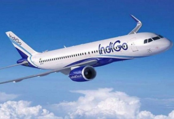Indigo to cancel around 20% flights, waive change fees