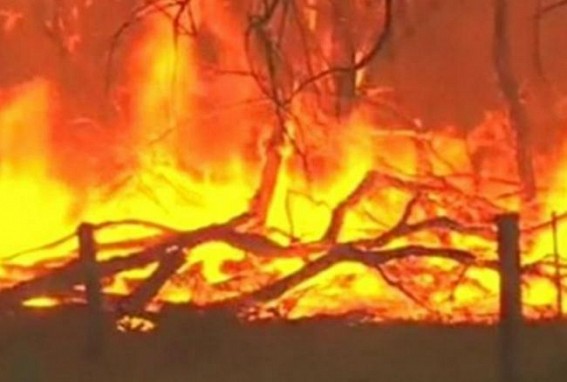 Bushfire rages in Western Australia Bushfire rages in Western Australia