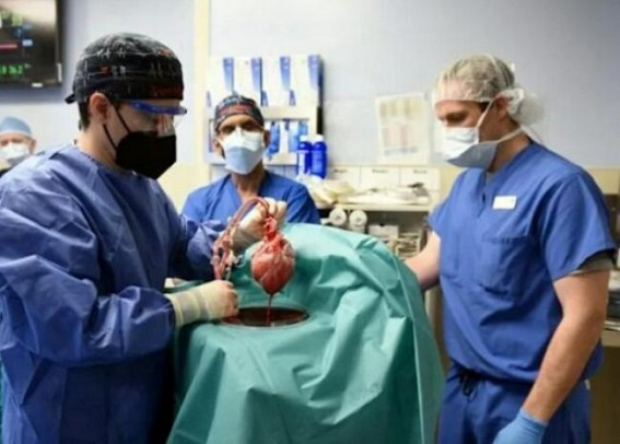 First time in history, a Pig-heart has been successfully Implanted in Human in the US