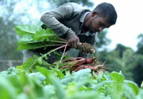 Consumer Price Index numbers for Agri, Rural labourers up by 5 points in Dec 2021