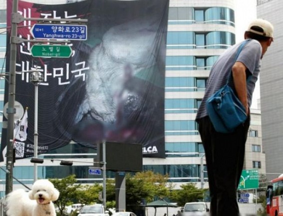 Bill calling for dog meat consumption ban proposed at Seoul city council