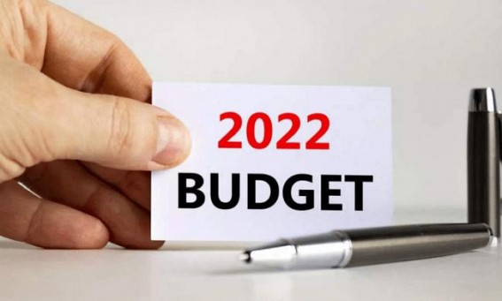 Budget FY23 disinvestment target more achievable: Fitch Ratings
