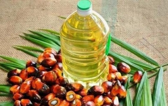 Palm oil rally continues despite several measures to check price rise