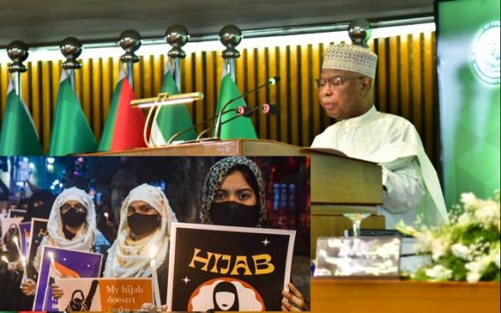 OIC expresses concern over 'continued attacks on Muslims in India' OIC expresses concern over 'continued attacks on Muslims in India'