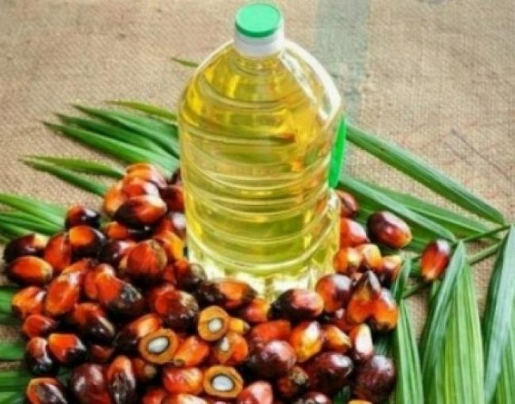 Sunflower oil shortage boon for palm oil producers, bane for consumers