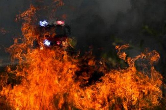 3 dead, 1 injured in Sydney boarding house fire 3 dead, 1 injured in Sydney boarding house fire