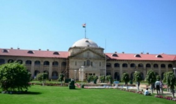 Allahabad HC grants bail to man booked under UP anti-cow slaughter law Allahabad HC grants bail to man booked under UP anti-cow slaughter law