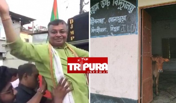 Ratan Lal Nath’s Quality Education : Cattles find shelter inside Kaliram High School’s Classroom in Sonamura