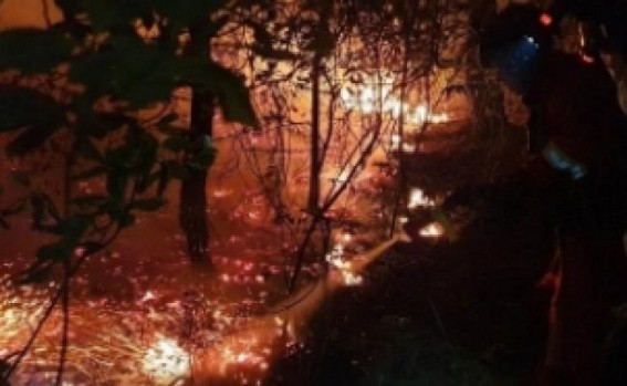 Romanian firefighters arrive in Greece for summer wildfire season