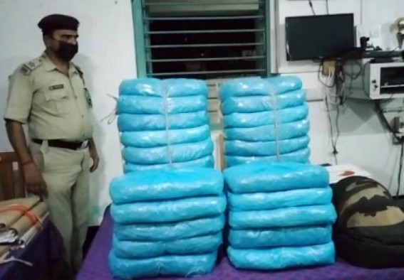 Vehicle carrying cannabis was detained at Tipra Bazar, under Belonia PS