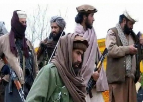 Pakistan Taliban don't trust Pak ulema in the absence of military assurance Pakistan Taliban don't trust Pak ulema in the absence of military assurance