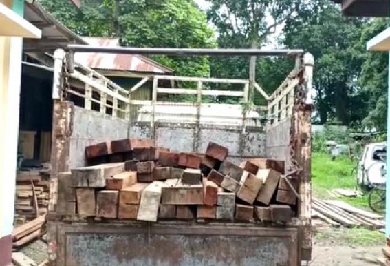 Illegal Woods were seized by Teliamura Forest Dept