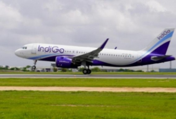 Indigo far ahead of other airlines with 57.7% market share in Aug, Vistara stays No 2