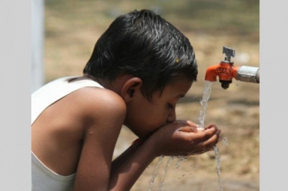 Bengaluru drinking water projects threaten only wildlife habitat in K'taka Bengaluru drinking water projects threaten only wildlife habitat in K'taka