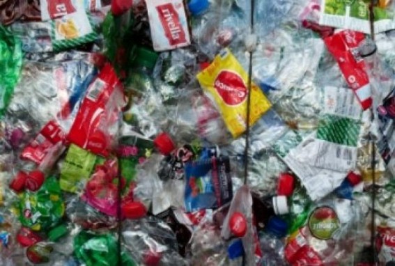 Aus state rolls out 4-bin recycling system to reduce landfill
