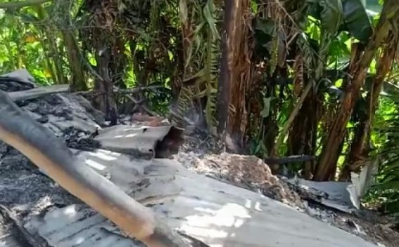 Horrifying Deaths of Domestic animals of a farmer after miscreants set fire in cattle-house Horrifying Deaths of Domestic animals of a farmer after miscreants set fire in cattle-house