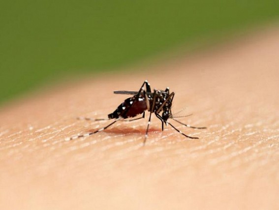 Dengue cases show a spike, October is the most vulnerable month