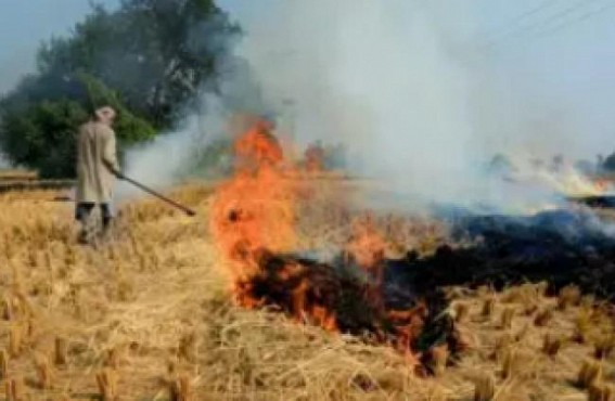 18 UP districts fail to check stubble burning