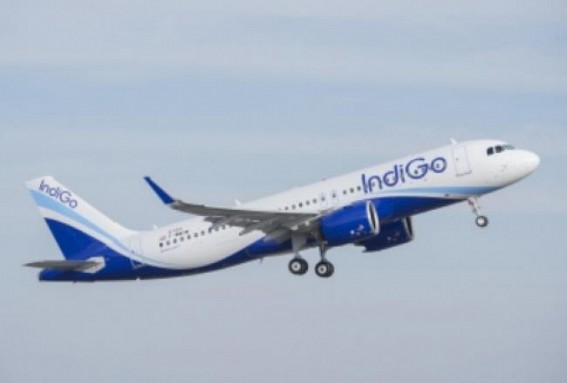 Indigo reports net loss of Rs 15,833 million in Q2 FY22-23 Indigo reports net loss of Rs 15,833 million in Q2 FY22-23