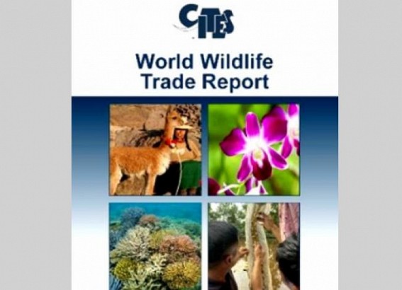 Asia, Europe top global wildlife trade regions: CITES first-ever report Asia, Europe top global wildlife trade regions: CITES first-ever report
