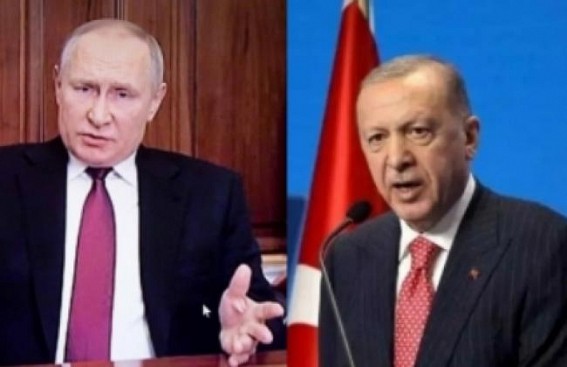 Putin, Erdogan discuss gas hub, grain export deal