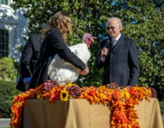 Biden pardons Thanksgiving turkeys