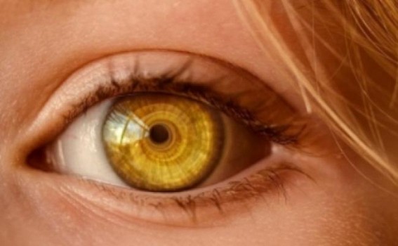 Probe ordered after 6 lose eyesight in cataract operation in Kanpur Probe ordered after 6 lose eyesight in cataract operation in Kanpur