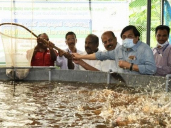 Kerala SC community reaps benefits of biofloc fish farming
