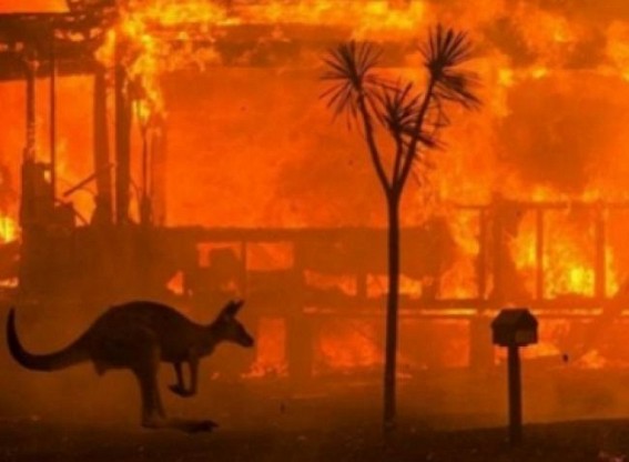Aus govt to overhaul environmental laws Aus govt to overhaul environmental laws