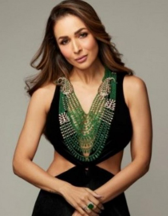 Malaika Arora: There are days when I'm like that job could've been mine