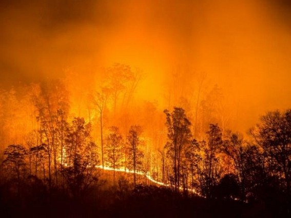 Fire in US southern state forces thousands to evacuate